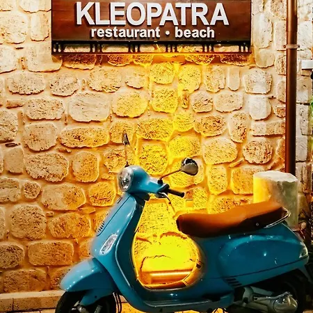 ホテル Kleopatra シダ